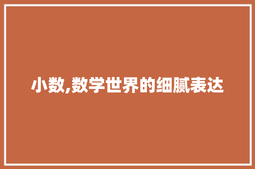 小数,数学世界的细腻表达