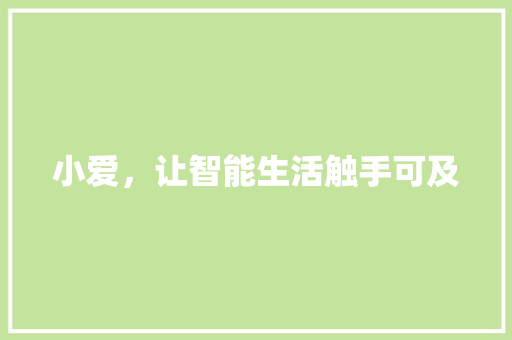 小爱，让智能生活触手可及