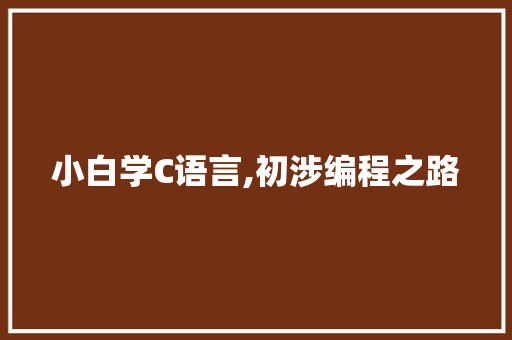 小白学C语言,初涉编程之路