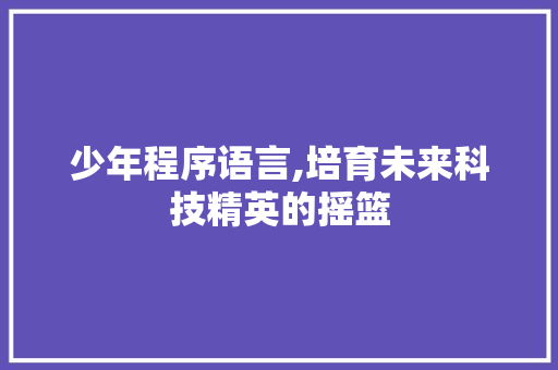 少年程序语言,培育未来科技精英的摇篮