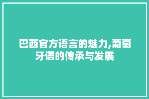 巴西官方语言的魅力,葡萄牙语的传承与发展