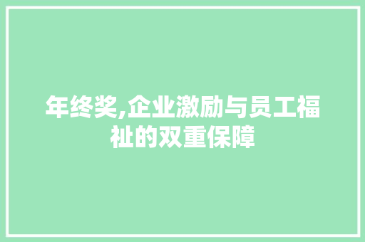 年终奖,企业激励与员工福祉的双重保障