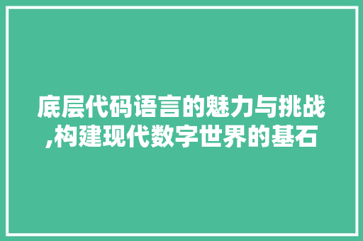 底层代码语言的魅力与挑战,构建现代数字世界的基石