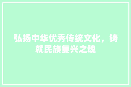 弘扬中华优秀传统文化，铸就民族复兴之魂