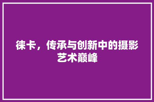 徕卡，传承与创新中的摄影艺术巅峰