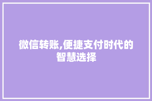 微信转账,便捷支付时代的智慧选择