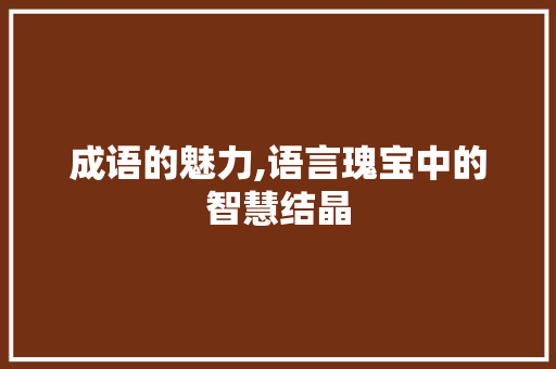 成语的魅力,语言瑰宝中的智慧结晶