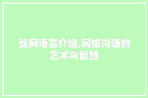 战网语言介绍,网络沟通的艺术与智慧