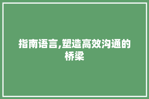 指南语言,塑造高效沟通的桥梁