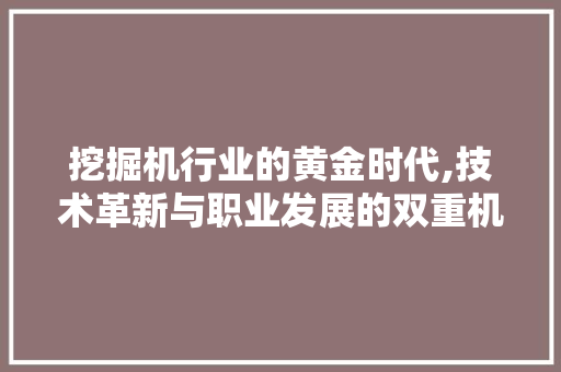 挖掘机行业的黄金时代,技术革新与职业发展的双重机遇