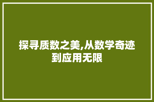 探寻质数之美,从数学奇迹到应用无限