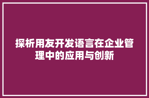 探析用友开发语言在企业管理中的应用与创新
