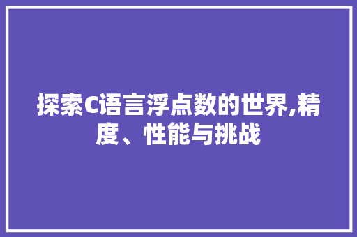 探索C语言浮点数的世界,精度、性能与挑战