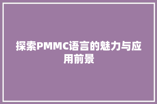 探索PMMC语言的魅力与应用前景