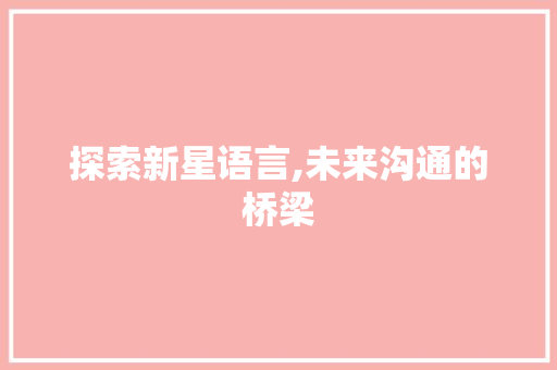 探索新星语言,未来沟通的桥梁