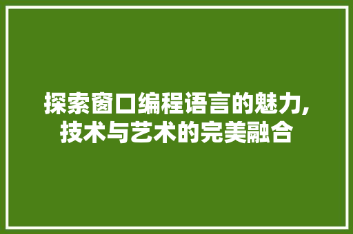 探索窗口编程语言的魅力,技术与艺术的完美融合