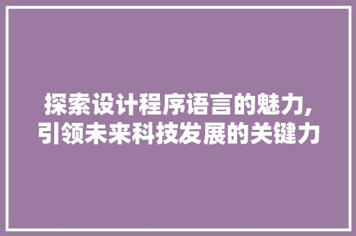 探索设计程序语言的魅力,引领未来科技发展的关键力量