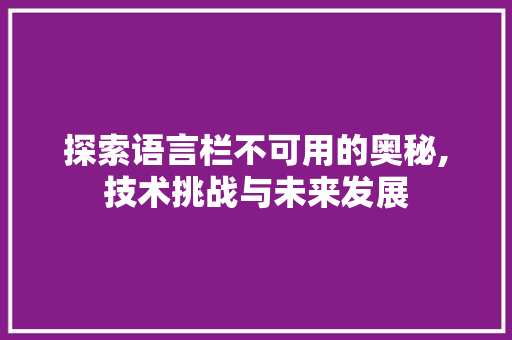 探索语言栏不可用的奥秘,技术挑战与未来发展