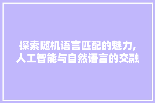 探索随机语言匹配的魅力,人工智能与自然语言的交融