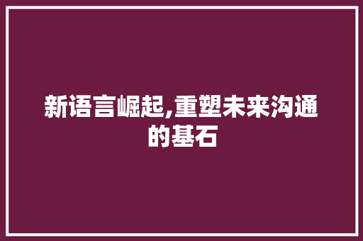 新语言崛起,重塑未来沟通的基石