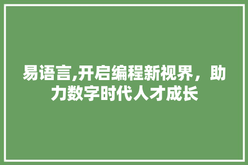 易语言,开启编程新视界，助力数字时代人才成长