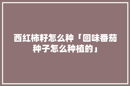 西红柿籽怎么种「回味番茄种子怎么种植的」 西红柿籽怎么种「回味番茄种子怎么种植的」 种植技巧