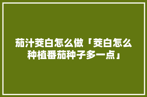 茄汁茭白怎么做「茭白怎么种植番茄种子多一点」