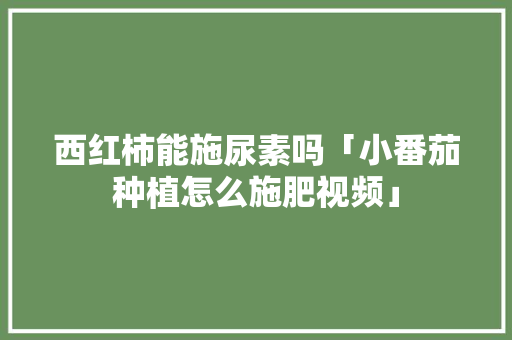 西红柿能施尿素吗「小番茄种植怎么施肥视频」 西红柿能施尿素吗「小番茄种植怎么施肥视频」 种植技巧