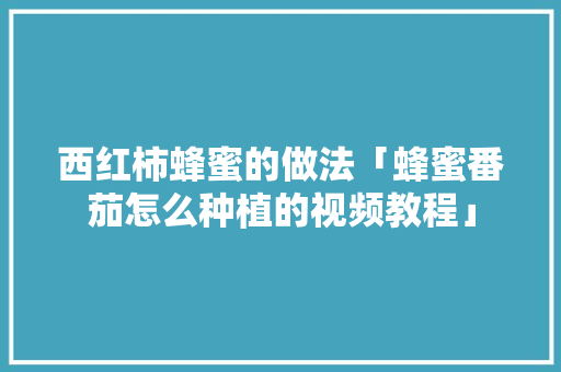 西红柿蜂蜜的做法「蜂蜜番茄怎么种植的视频教程」 西红柿蜂蜜的做法「蜂蜜番茄怎么种植的视频教程」 土壤施肥