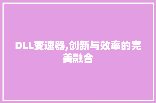 DLL变速器,创新与效率的完美融合