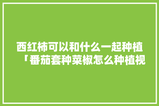 西红柿可以和什么一起种植「番茄套种菜椒怎么种植视频」 西红柿可以和什么一起种植「番茄套种菜椒怎么种植视频」 番茄病虫害防治