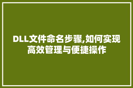 DLL文件命名步骤,如何实现高效管理与便捷操作