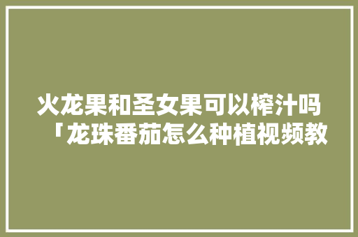 火龙果和圣女果可以榨汁吗「龙珠番茄怎么种植视频教程」 火龙果和圣女果可以榨汁吗「龙珠番茄怎么种植视频教程」 花朵知识