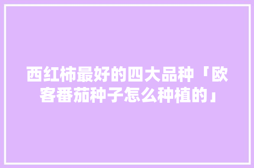 西红柿最好的四大品种「欧客番茄种子怎么种植的」 西红柿最好的四大品种「欧客番茄种子怎么种植的」 植物种类