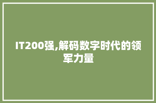 IT200强,解码数字时代的领军力量