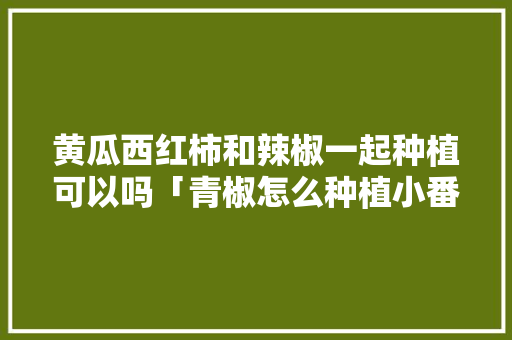 黄瓜西红柿和辣椒一起种植可以吗「青椒怎么种植小番茄的视频」 黄瓜西红柿和辣椒一起种植可以吗「青椒怎么种植小番茄的视频」 番茄病虫害防治