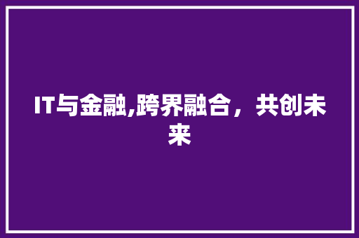 IT与金融,跨界融合，共创未来