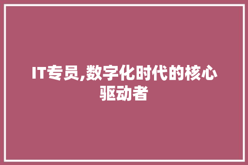 IT专员,数字化时代的核心驱动者