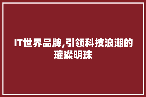 IT世界品牌,引领科技浪潮的璀璨明珠