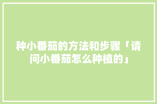 种小番茄的方法和步骤「请问小番茄怎么种植的」 种小番茄的方法和步骤「请问小番茄怎么种植的」 花朵知识