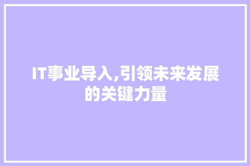 IT事业导入,引领未来发展的关键力量