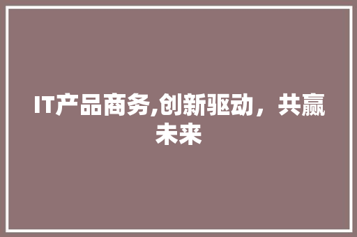 IT产品商务,创新驱动，共赢未来