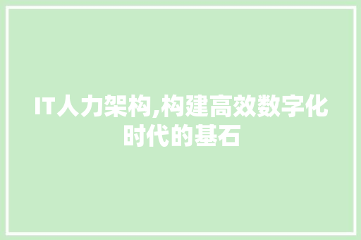 IT人力架构,构建高效数字化时代的基石