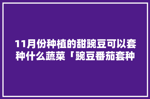 11月份种植的甜豌豆可以套种什么蔬菜「豌豆番茄套种怎么种植视频」 11月份种植的甜豌豆可以套种什么蔬菜「豌豆番茄套种怎么种植视频」 植物种类