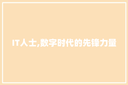 IT人士,数字时代的先锋力量