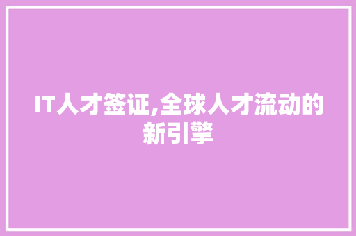 IT人才签证,全球人才流动的新引擎