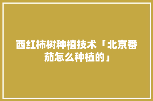 西红柿树种植技术「北京番茄怎么种植的」 农业常识 西红柿树种植技术「北京番茄怎么种植的」 西红柿树种植技术「北京番茄怎么种植的」 农业常识