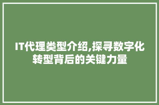 IT代理类型介绍,探寻数字化转型背后的关键力量
