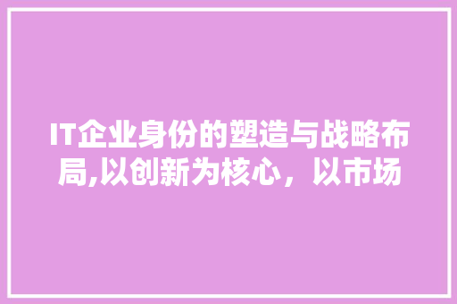 IT企业身份的塑造与战略布局,以创新为核心，以市场为导向