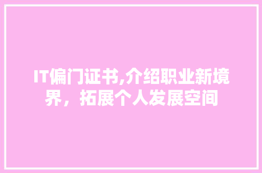 IT偏门证书,介绍职业新境界，拓展个人发展空间